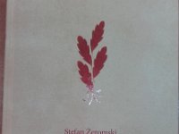 Nowy obraz3